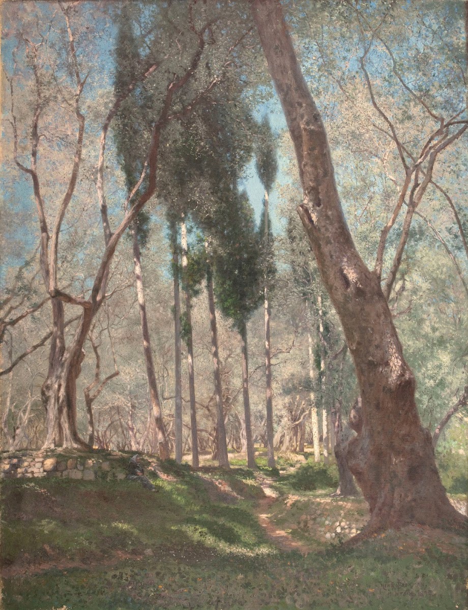 Oliviers à Menton 1897