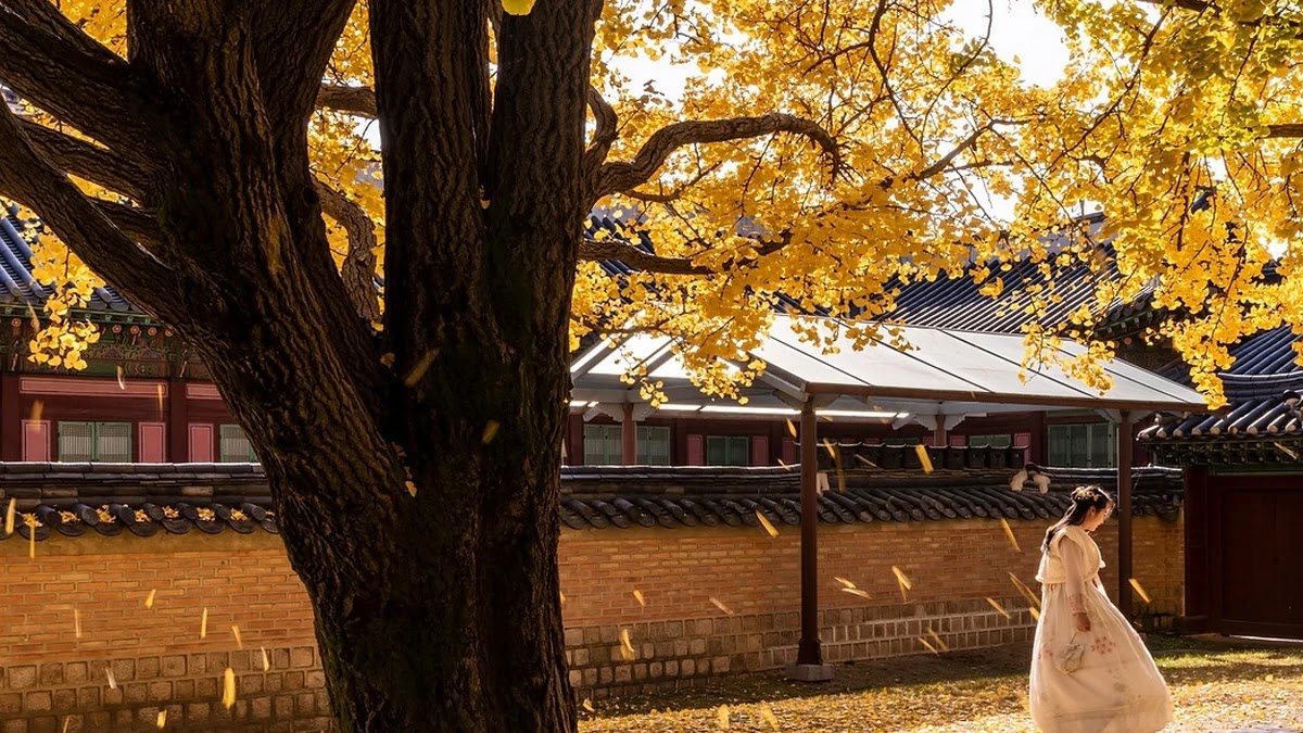 세시풍속 설날 의례의 상징적 구성과 의미 해석
