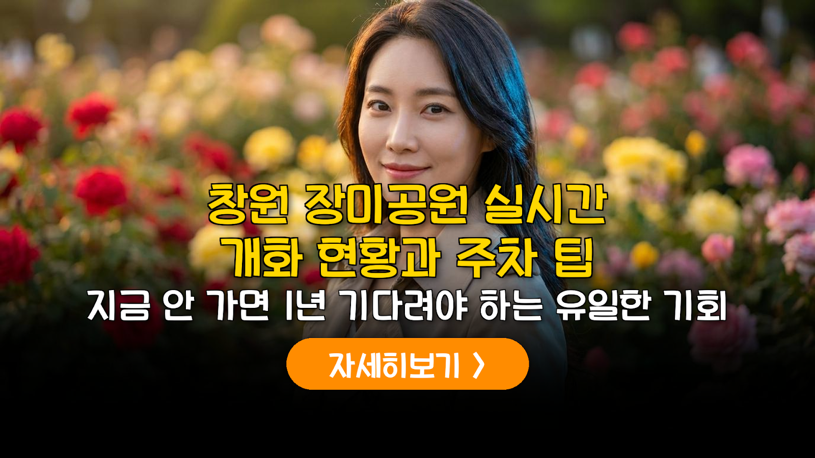 2026 창원 장미공원 개화 현황 및 주차 팁