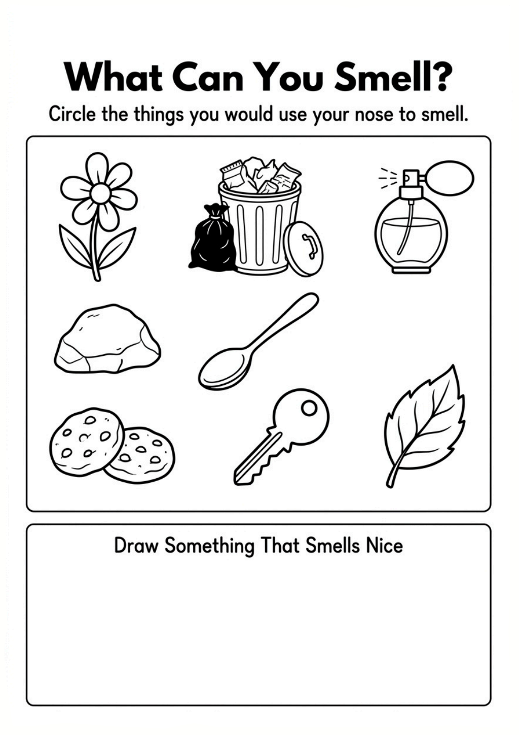 What Can You Smell? Worksheet