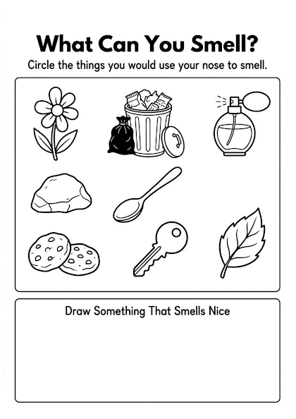 What Can You Smell? Worksheet