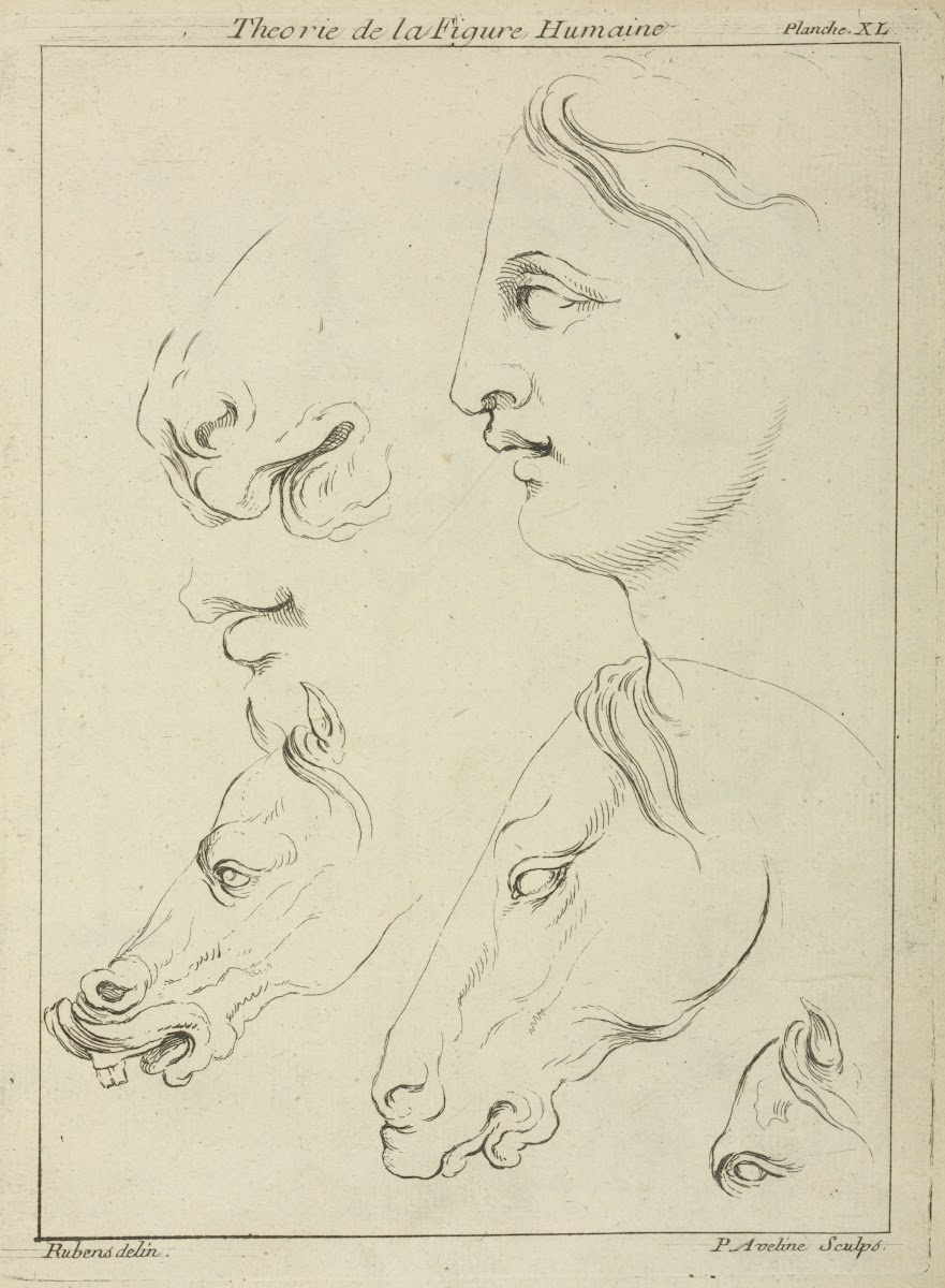 Horses heads and human head in profile with detail of horses eye and nose