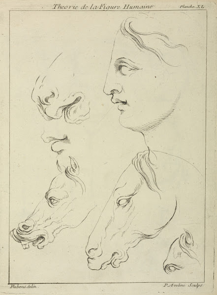 Horses heads and human head in profile with detail of horses eye and nose
