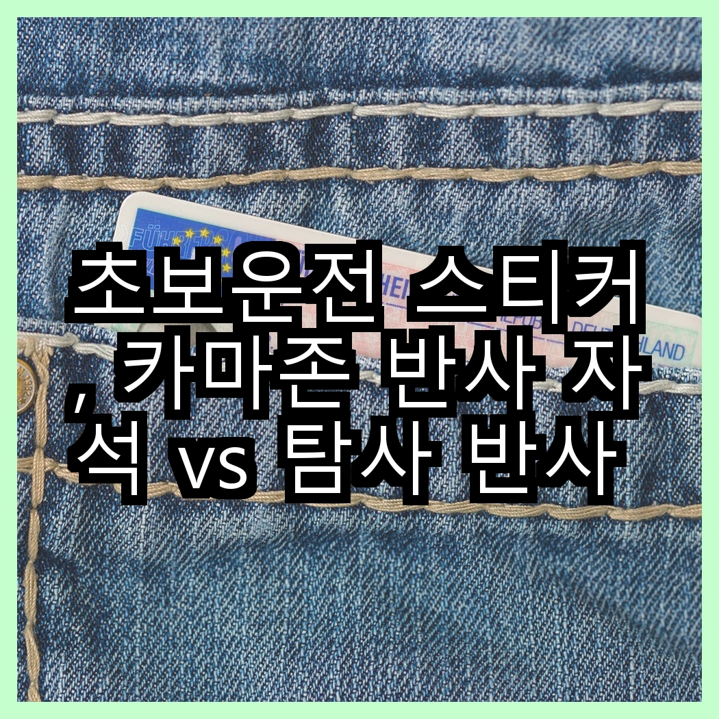 초보운전 스티커, 카마존 반사 자석 vs 탐사 반사 자석, 어떤 선택이 더 안전할까? 썸네일