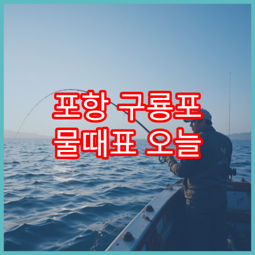 포항 구룡포 물때표 오늘 낚시 전 꼭 확인해야 할 조수시간