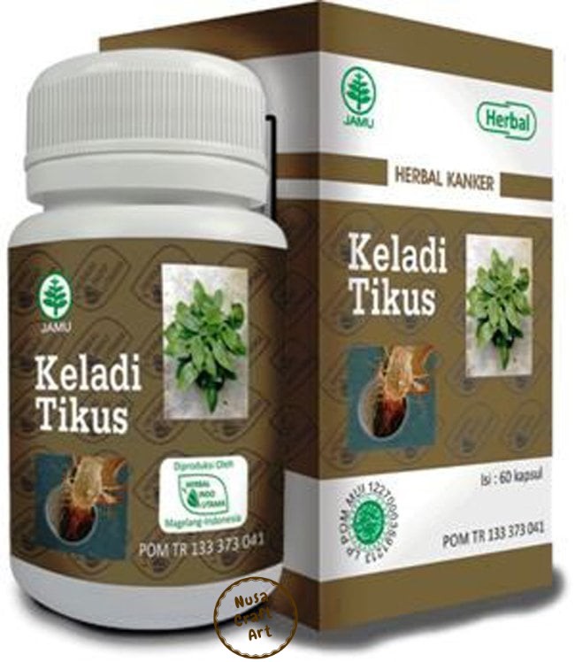 Alternative view of Keladi Tikus Typhonium Flagelliforme Rodent Tuber For Immune Support 60 Caps