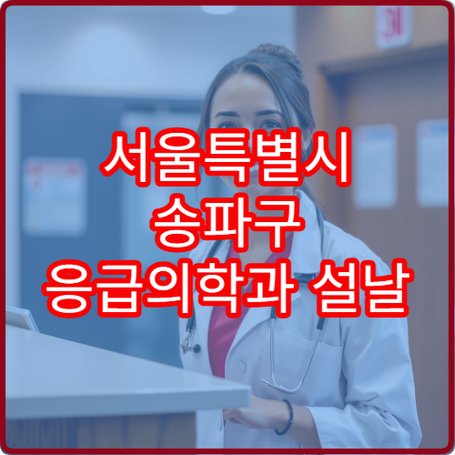 서울특별시 송파구 응급의학과 설날 명절 연휴 진료 병원 24시간 응급 상황 대처 가능
