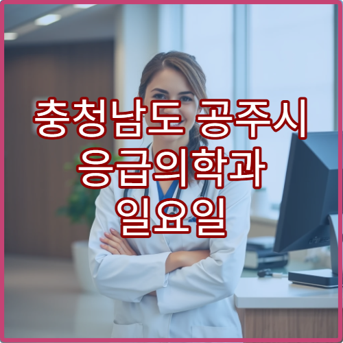 충청남도 공주시 응급의학과 일요일 진료 병원 24시간 응급 상황 대처 가능