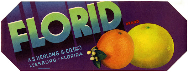 Florid Brand Citrus Label 1930 1950