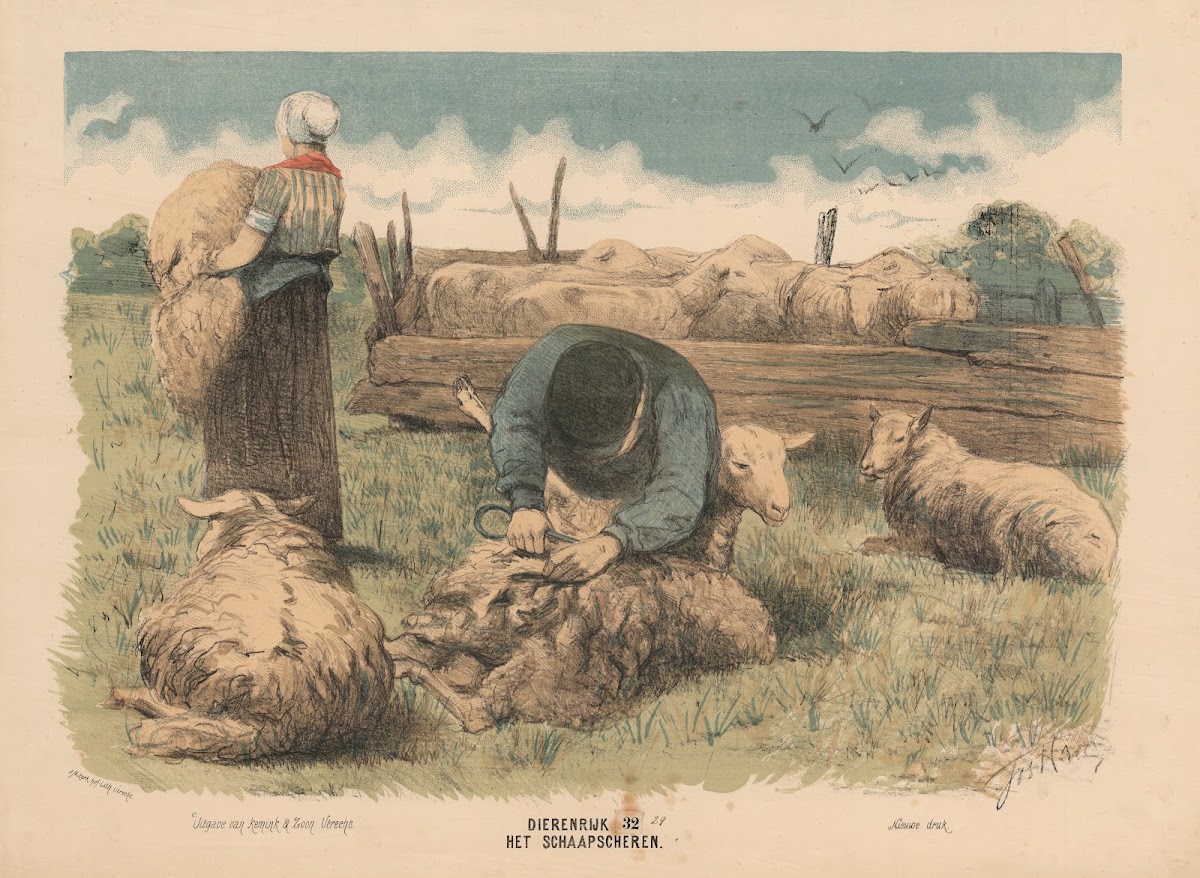 Het Schaapscheren 1841