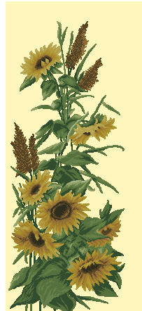 CMP P191 Sunflower