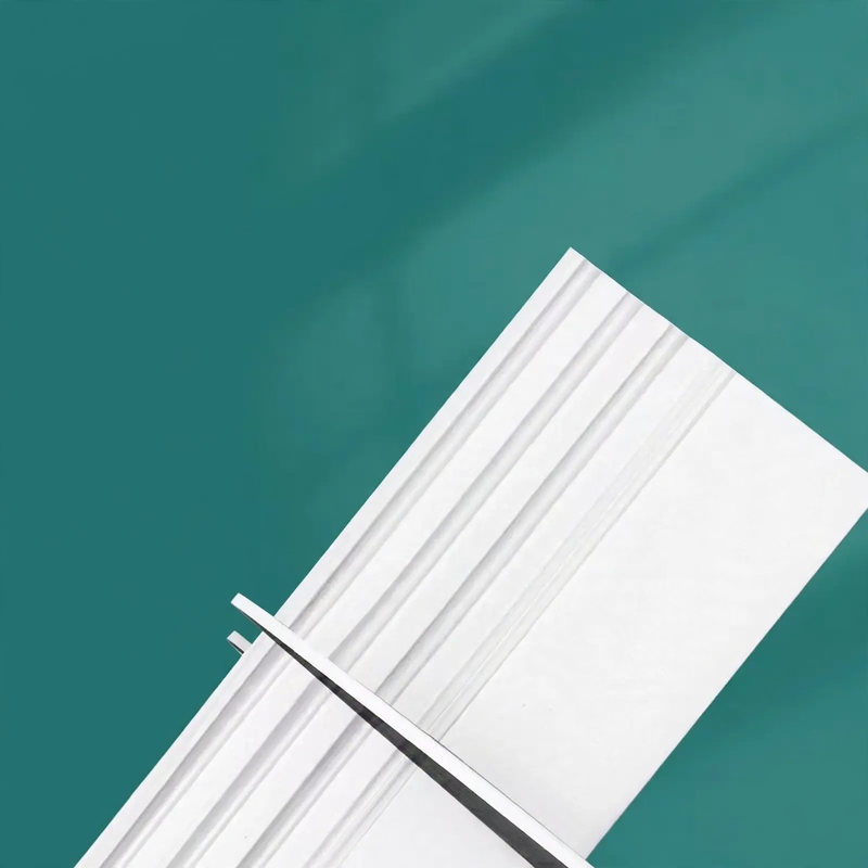 Door bottom seal against drafts and insects