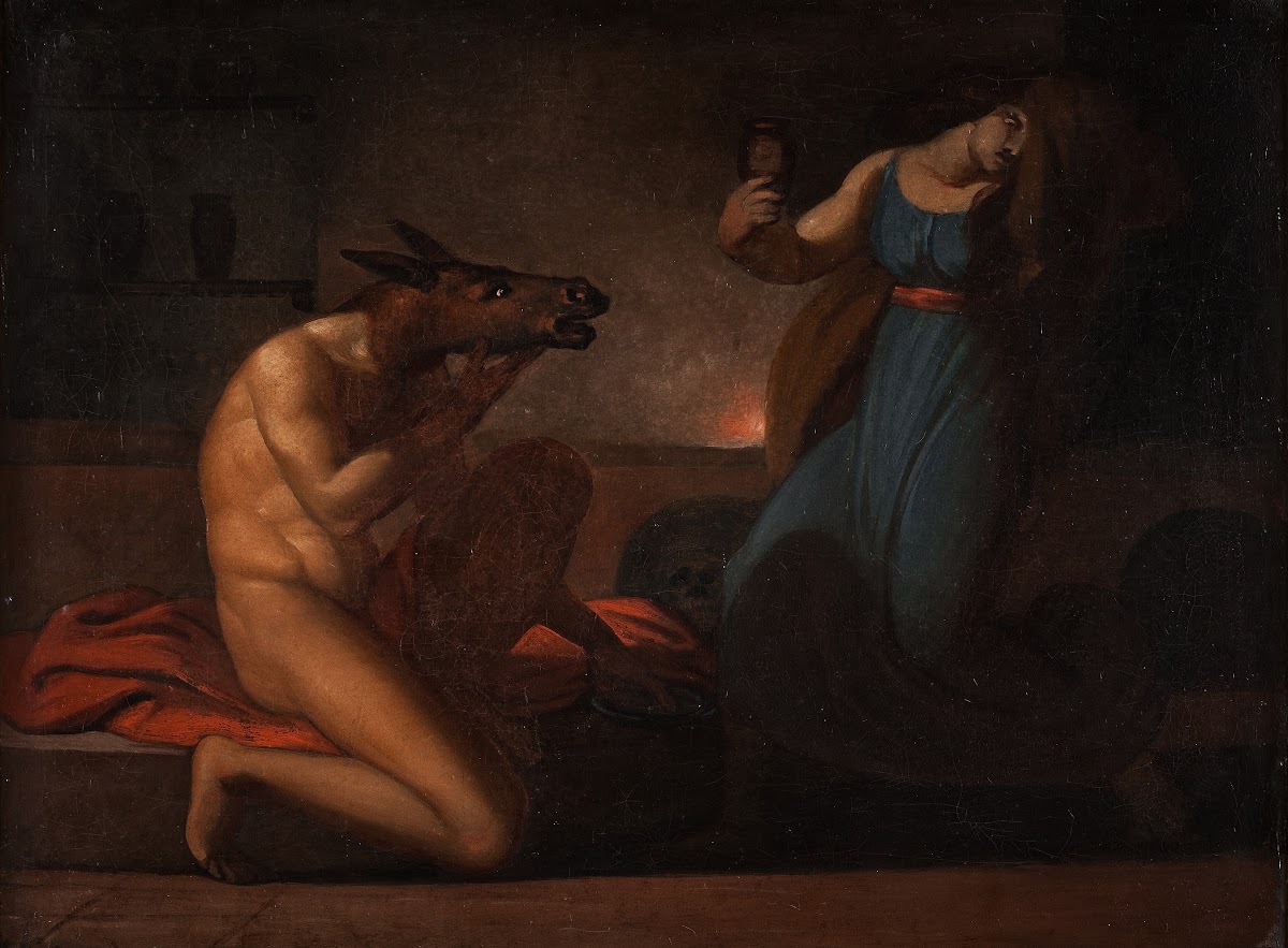 The Metomorphosis Of Lucius