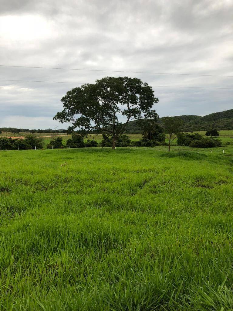 Fazenda em Colinas do Sul - GO 3