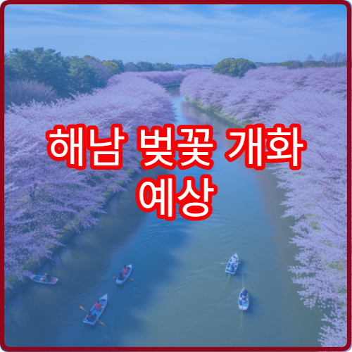 해남 벚꽃 개화 예상 해남 벚꽃 언제 필까