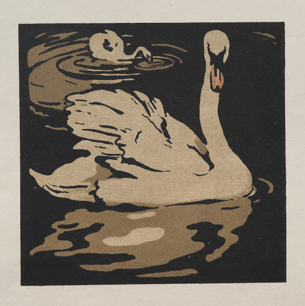 The Square Book of Animals The Beautiful Swan 1899