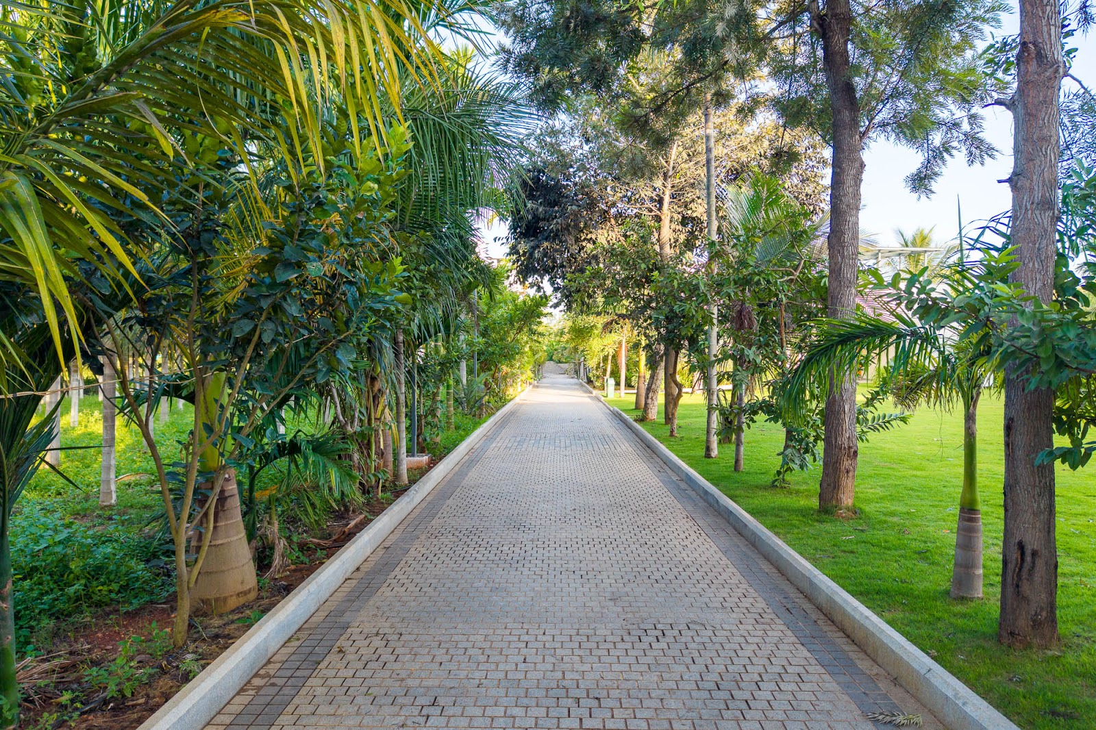 Aralu Villa