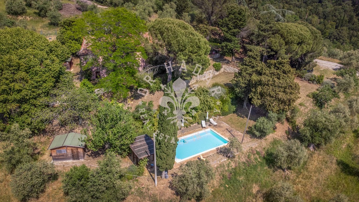 פודרה רוזאטה (Podere Rosata) — 45
