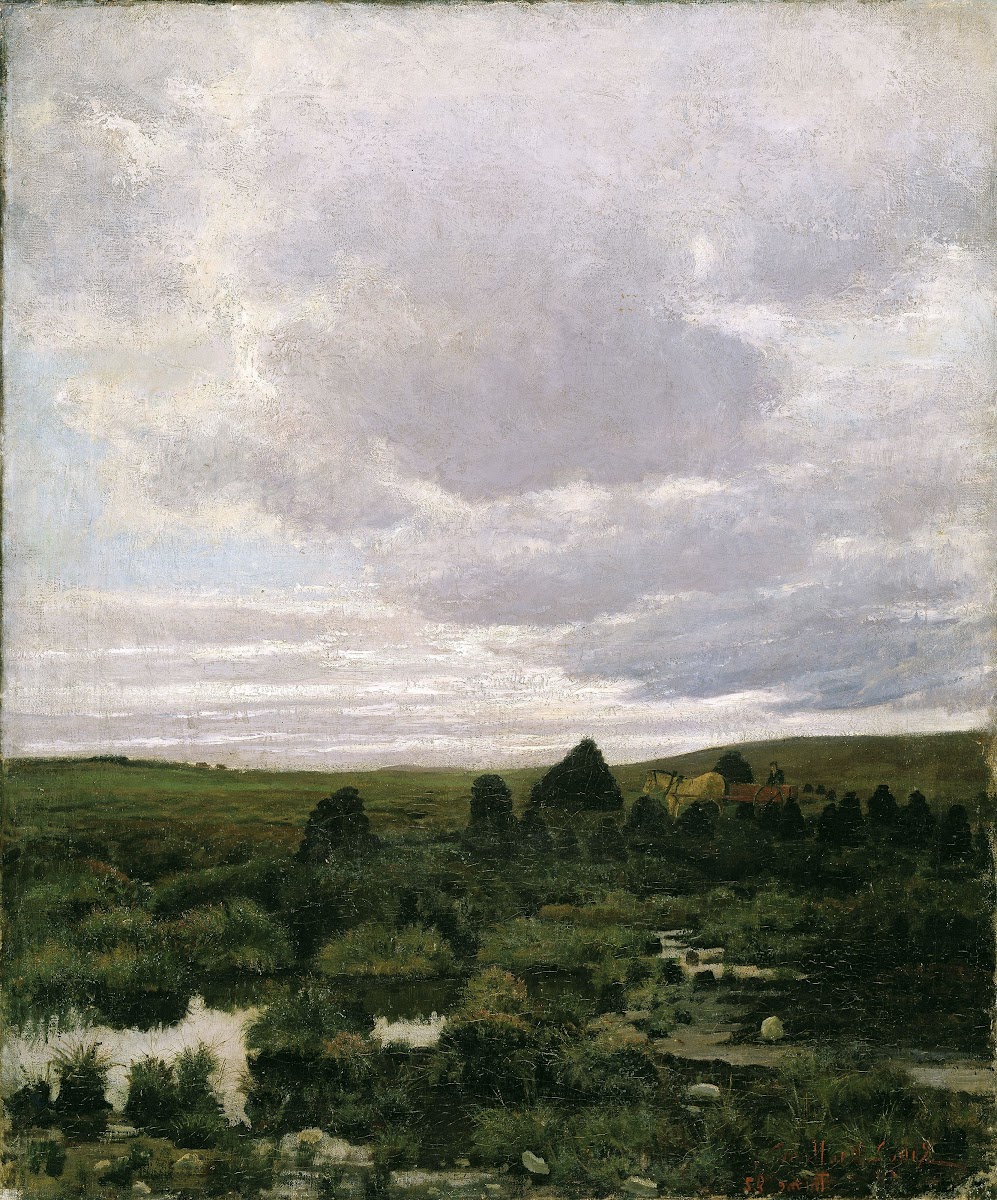 Peat Bog at Jæren 1882