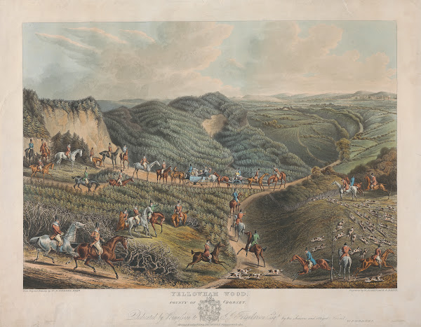 Yellowham Wood 1834