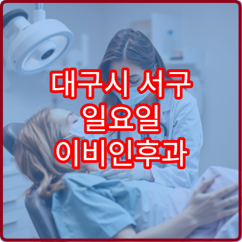 대구시 서구 일요일 이비인후과 진료 가능한 병원 정보를 제공하는 정리본