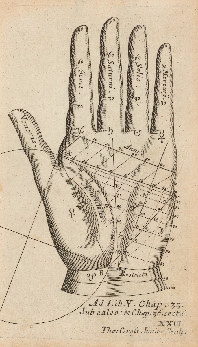 Plate XXIII Palmistry chart of left hand 1685