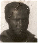 Lauro Pacheco