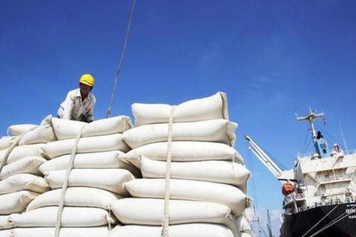 Thị trường gạo biến động, áp lực vì chi phí vận tải - Báo Doanh nhân &amp; Công lý