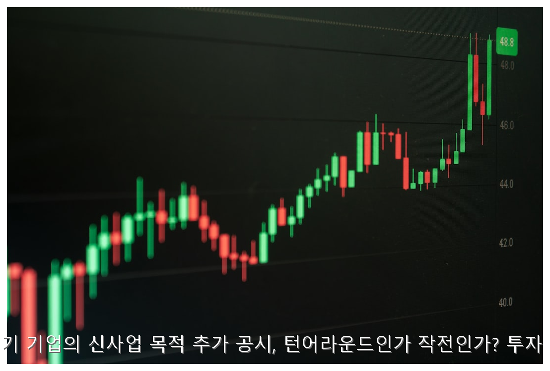 상장폐지 위기 기업의 신사업 목적 추가 공시, 턴어라운드인가 작전인가? 투자 실무 가이드 핵심 안내 및 분석 인포그래픽 (8)