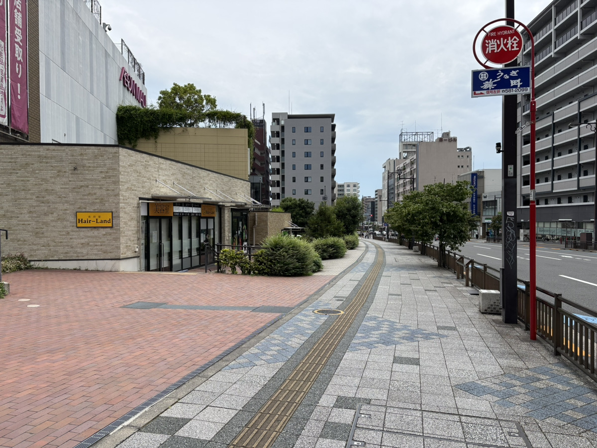 記事に関連するソフネットジャパンの写真