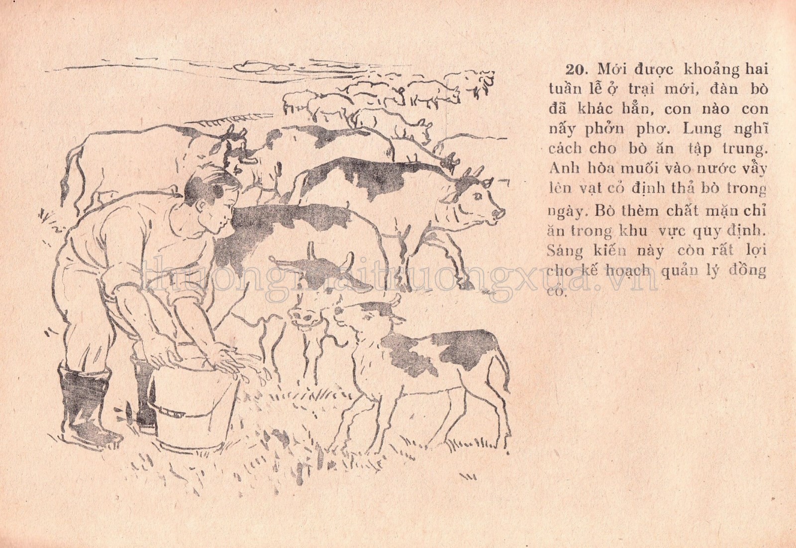 Chiến thắng trên đồi cỏ - Trang 75