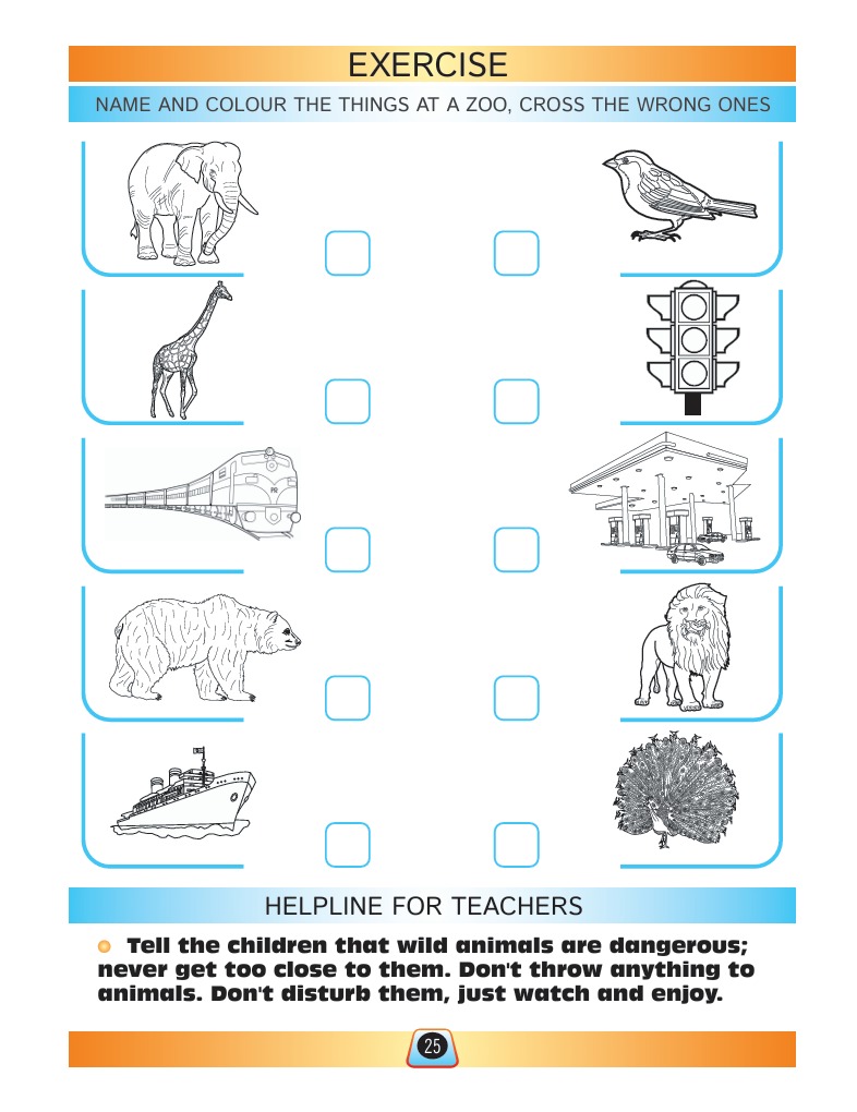 Social Studies Book B - Activity Book