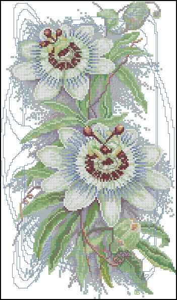CMP 171182 Light Flowers