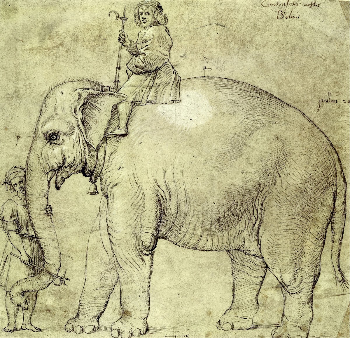 The Elephant Hanno 1516