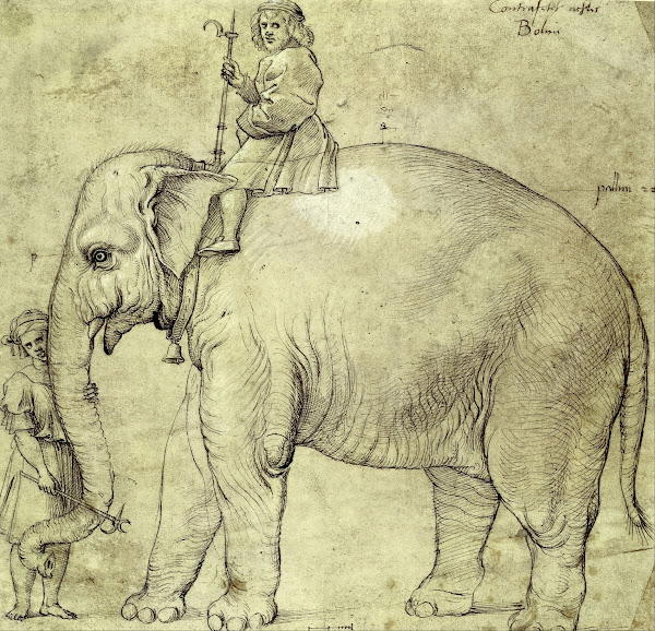 The Elephant Hanno 1516