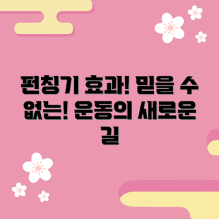 펀칭기, 운동 효과, 초보자 운동, 홈트레이닝, 체중 감량