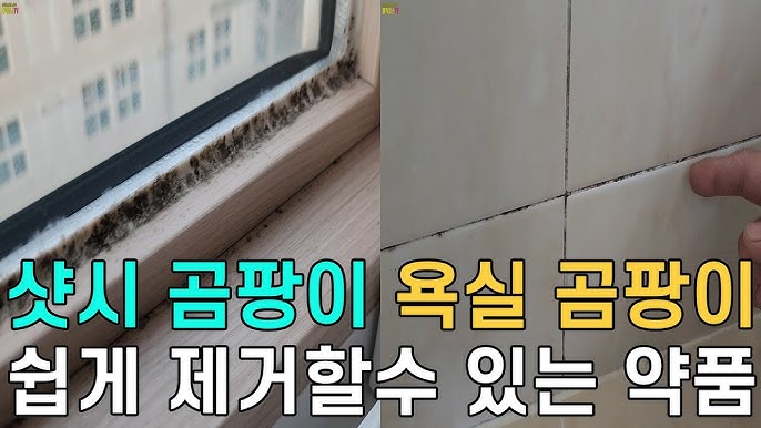 섹션 2 이미지