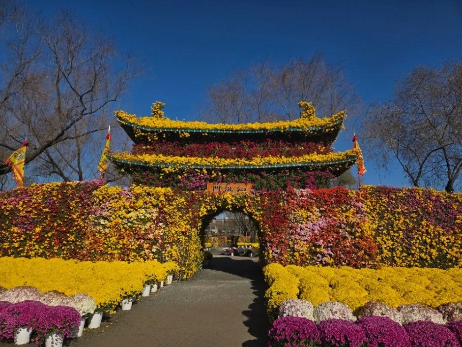 부여국화축제 사진(한국관광공사)