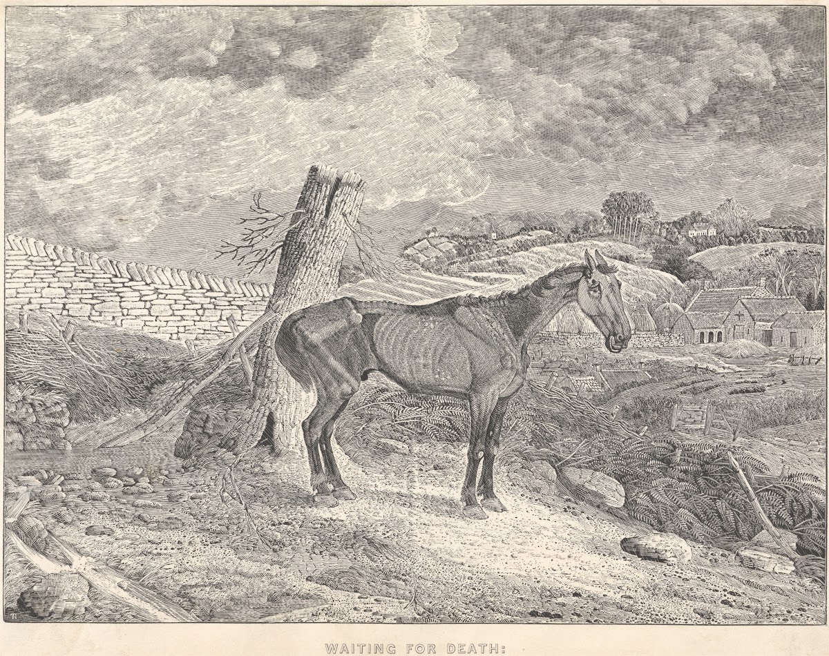 Waiting for Death 1832