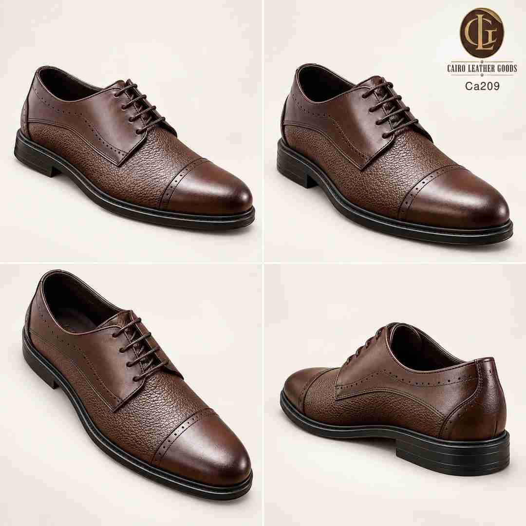 Ca209 11 Ca209 brown 360.jpg