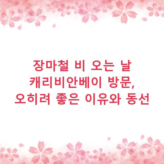 장마철 비 오는 날 캐리비안베이 방문, 오히려 좋은 이유와 동선