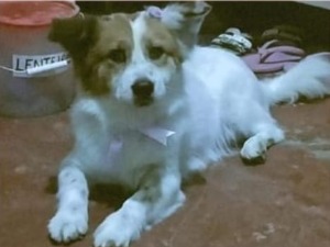 MOLLY