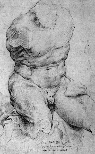 Torso Belvedere Front view of the antique sculpture 1628  1629