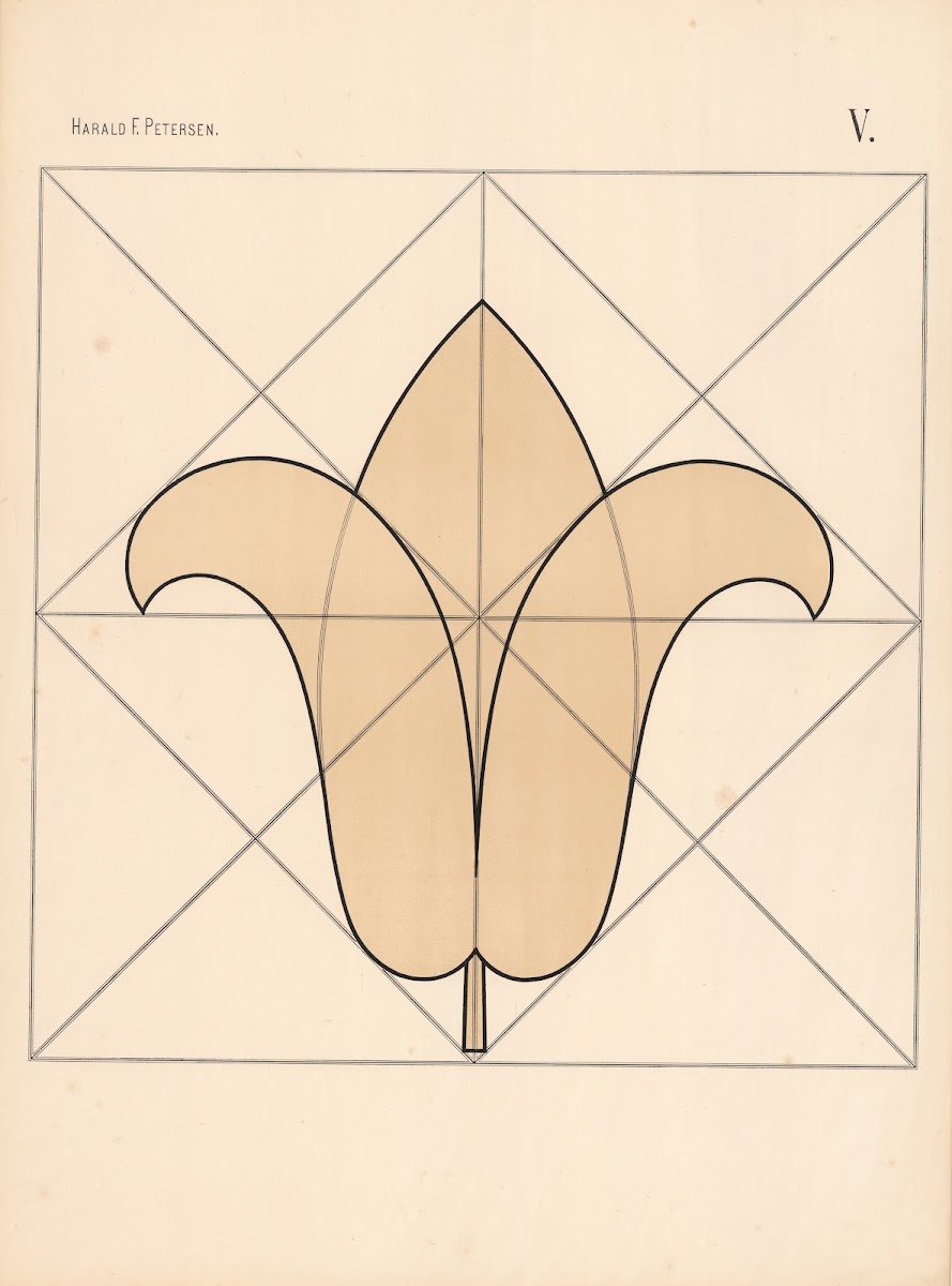 Elementary Freehand Drawing vol2 Pl05 1909