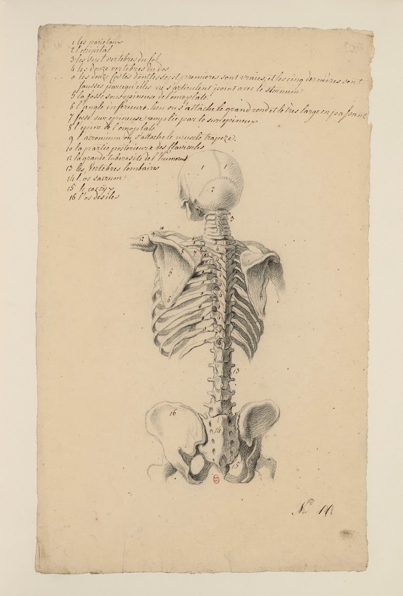 Cahiers dAnatomie Pl10 18th Century
