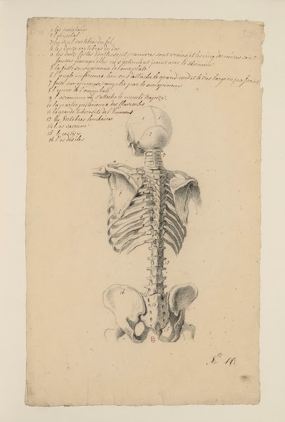 Cahiers dAnatomie Pl10 18th Century