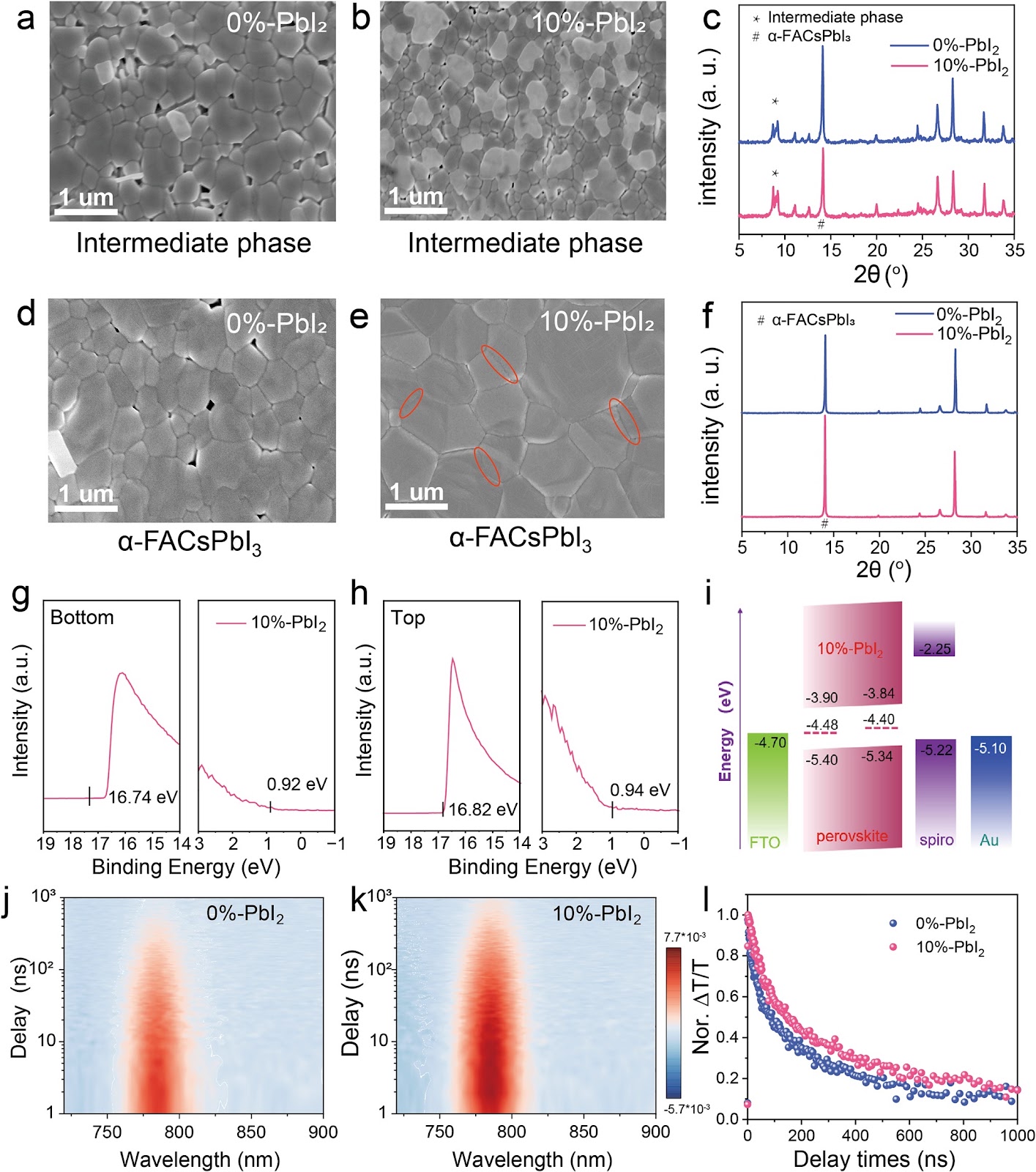 Modified Near-Infrared Annealing Enabled Rapid and Homogeneous Crystallization of Perovskite Films for Efficient Solar Modules