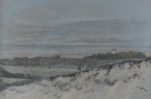 Seashore with Sand Dunes