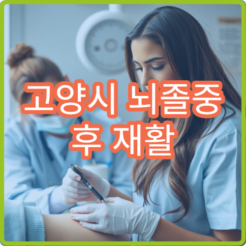 고양시 뇌졸중 후 재활 치료 가능한 병원 리스트