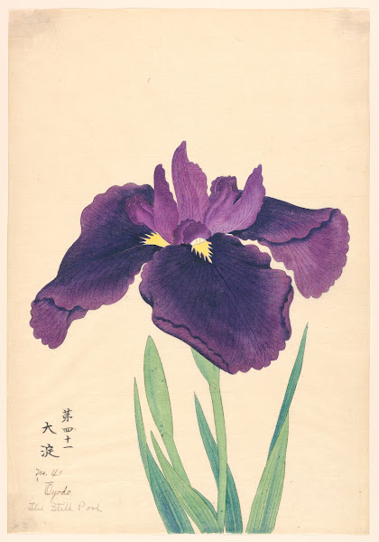 The Still Pool Oyodo 1910